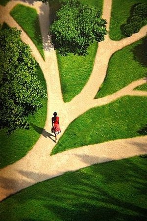 Many-Paths